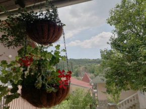 Apartmani Popovic